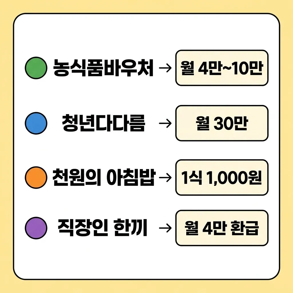 2026년 청년 식비 바우처 4대 제도 비교 흐름도