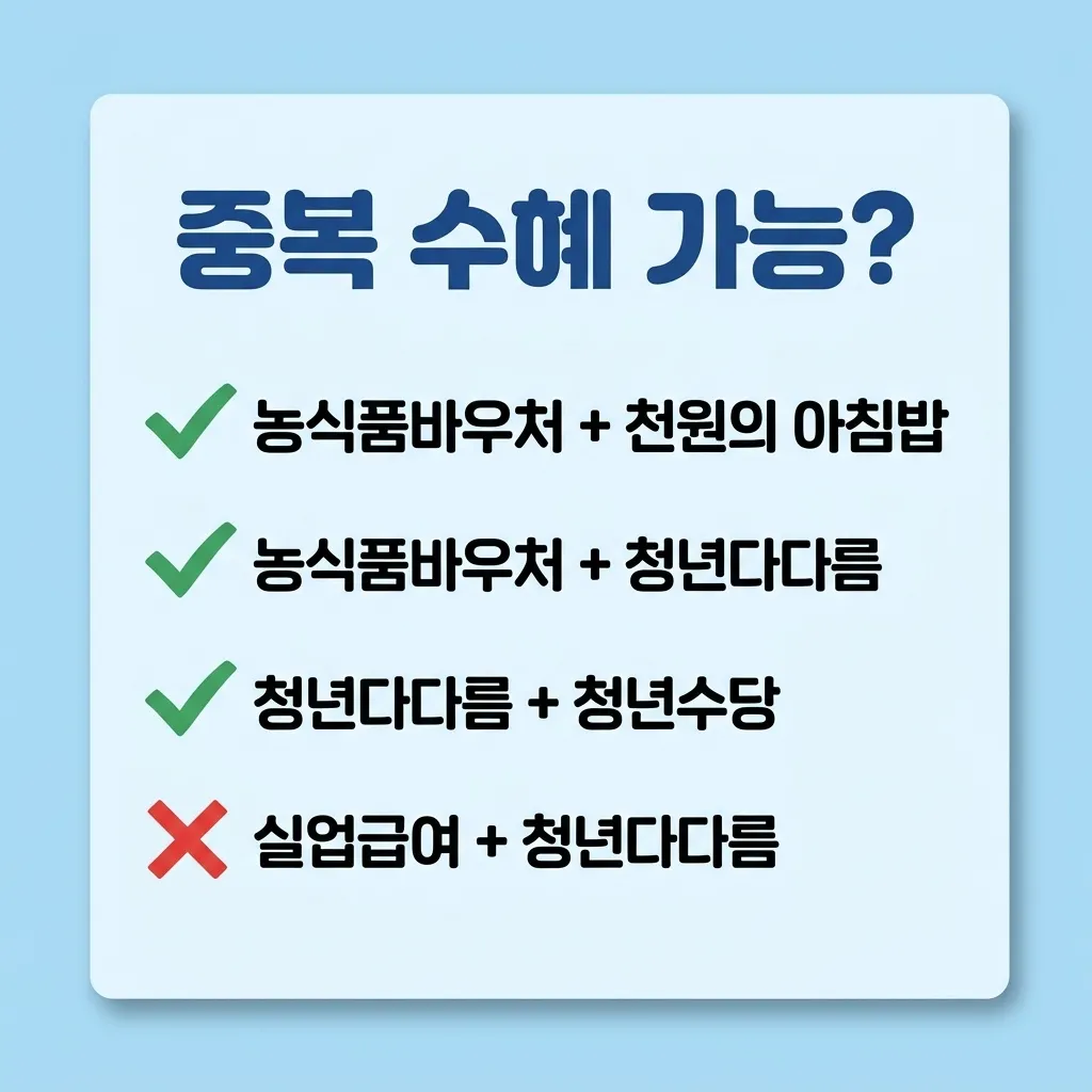 2026년 청년 식비 지원 중복 수혜 체크리스트